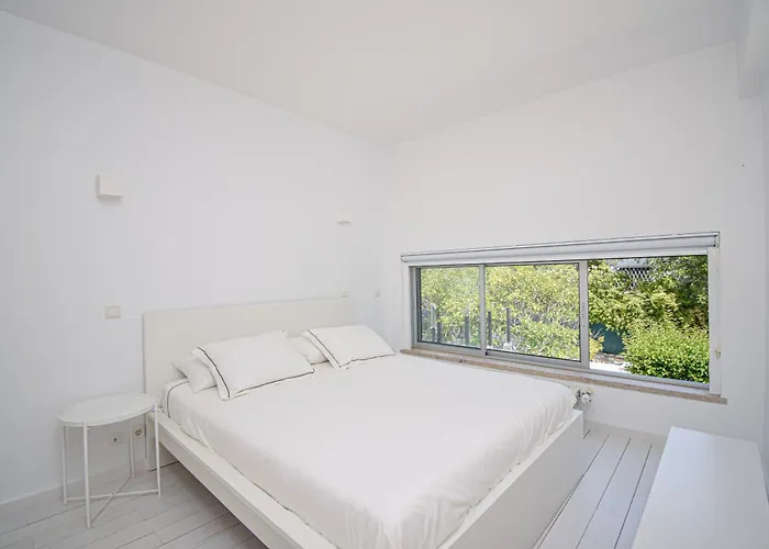 Spacious With Swiming Pool And Terrace 別荘